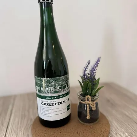 Dalikyda - De Paix - Parking Gratuit