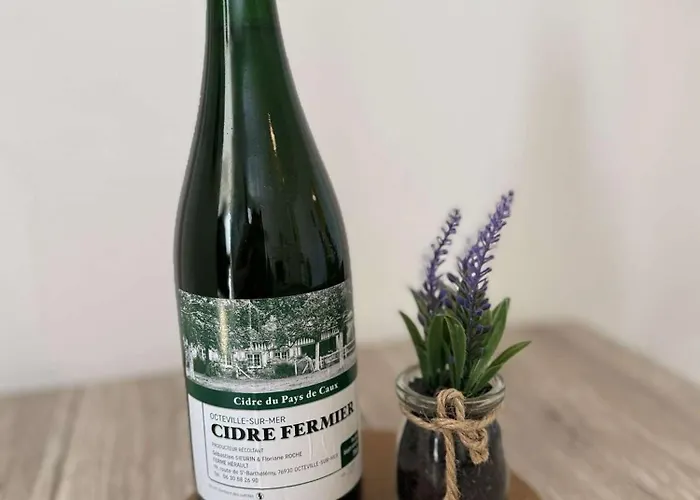 Dalikyda - De Paix - Parking Gratuit Le Havre